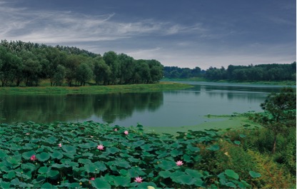 中海式热度中海丽春湖墅开盘大卖20亿