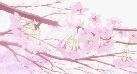 444_240gif 动态图 动图