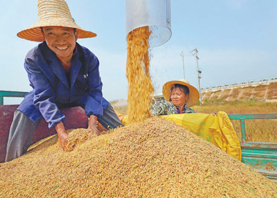 粮食库存实饭碗端得牢权威发布