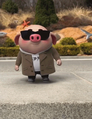 猪小屁圆(pang)滚(cheng)滚(qiu)的身材,跟随魔性的音乐起舞,强烈的