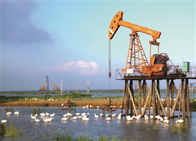 笃守环保责任 彰显"绿色石化"示范效应|石化|环保|油田_新浪新闻