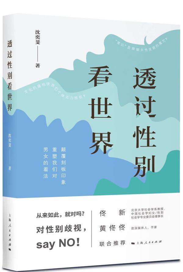 沈奕斐:“家暴”与家庭的男女分工 《透过性别看世界》 沈奕斐著