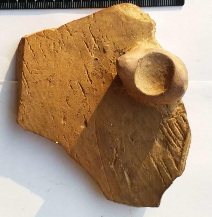河南仰韶文化的陶片,上有一个指纹,竟发现五千年前陶工的信息