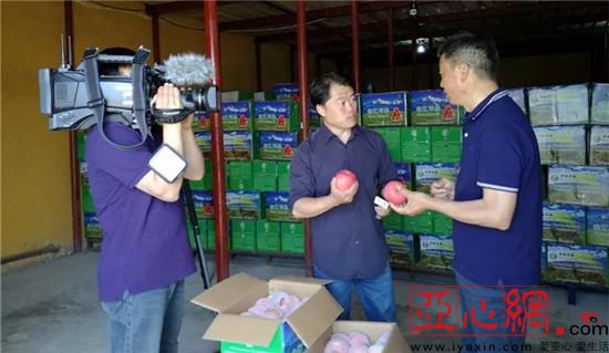 中央电视台感谢上合组织青岛峰会期间霍尔果斯