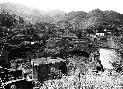 老年服务照料中心一水间民宿白革村村口古树群金川村浙江在线-武义