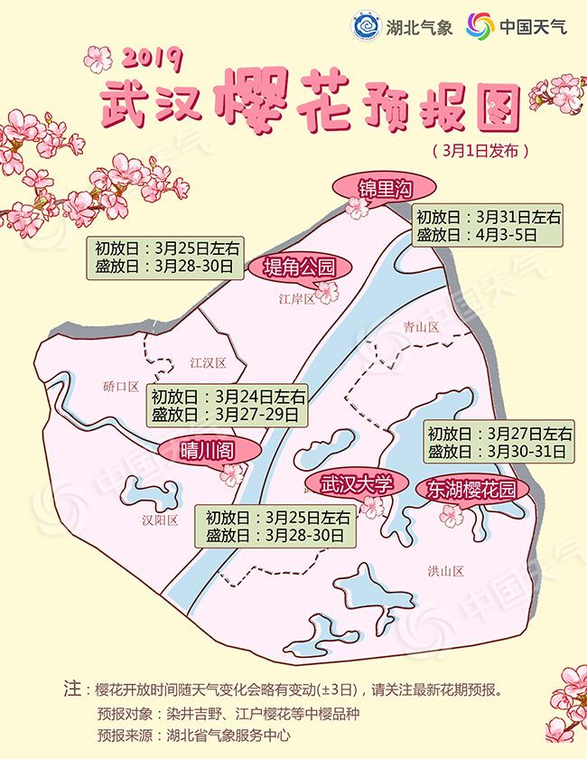 打卡浪漫樱花季 2019武汉赏樱预报新鲜出炉