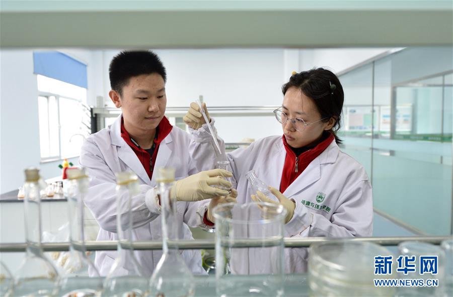 4月19日，中国农业大学学生在曲周实验站做实验。新华社记者 王晓 摄