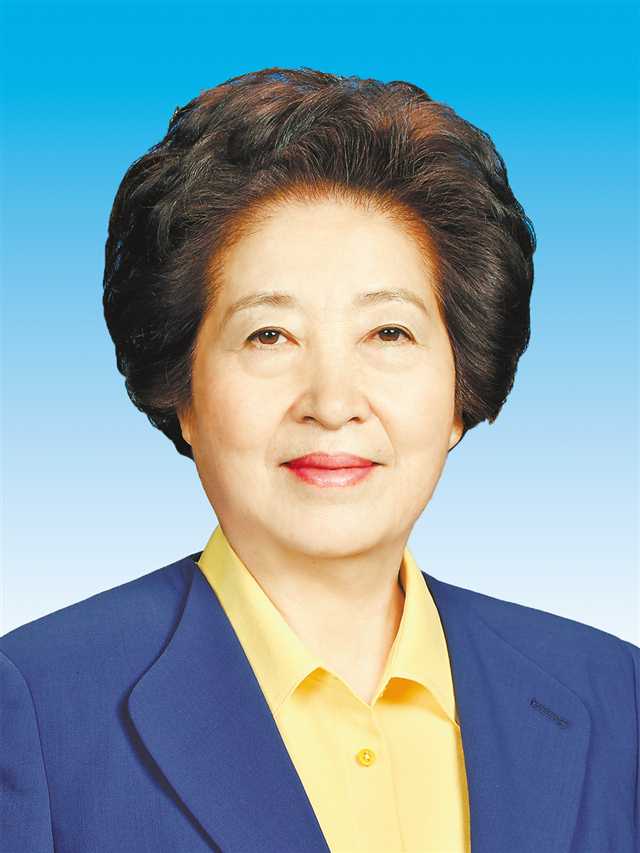 国务院副总理简历