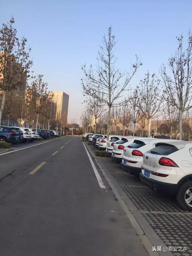 共享汽车终于来泰安了扫码就能开快看看你附近有没有