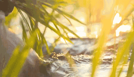 441_253gif 动态图 动图