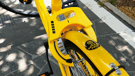 雄安人福利来啦ofo共享单车7天免费骑