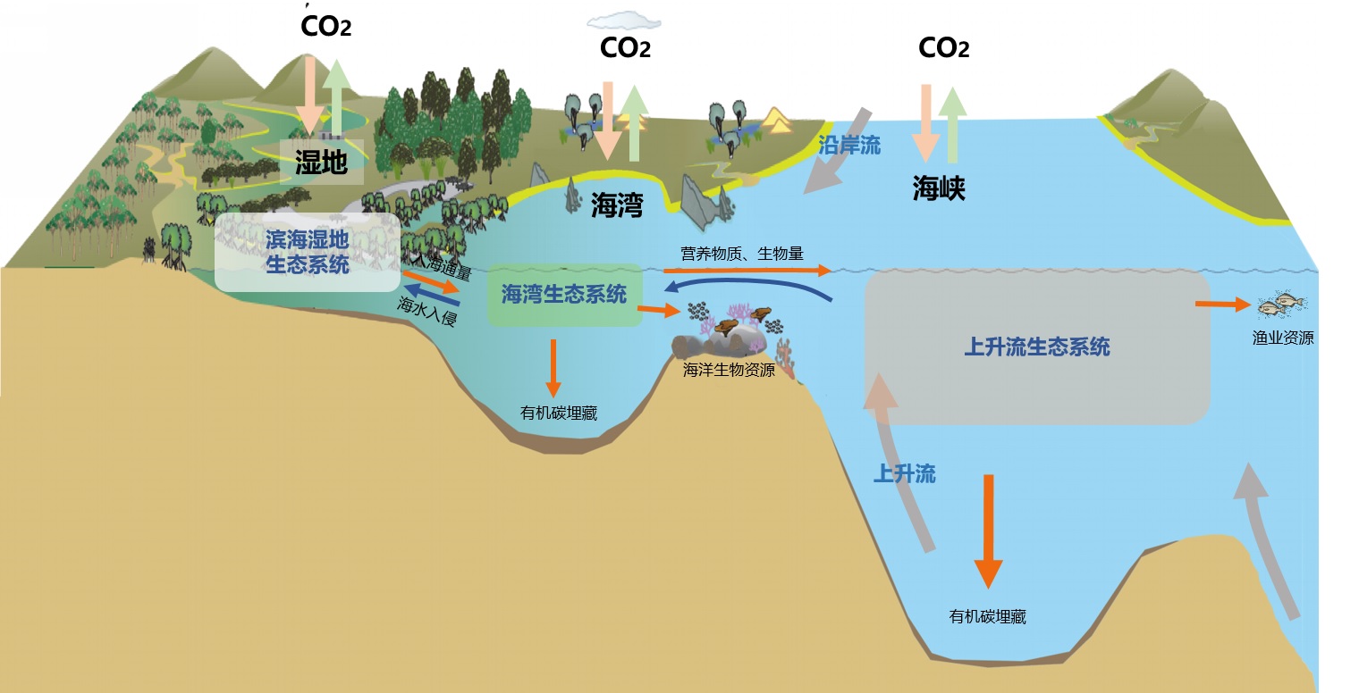 厦门大学获批教育部野外科学观测研究站|生态系统_新浪新闻