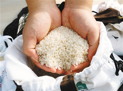 长安的水稻碾成大米后就是西安人熟悉的桂花球米小朋友体验收获水稻
