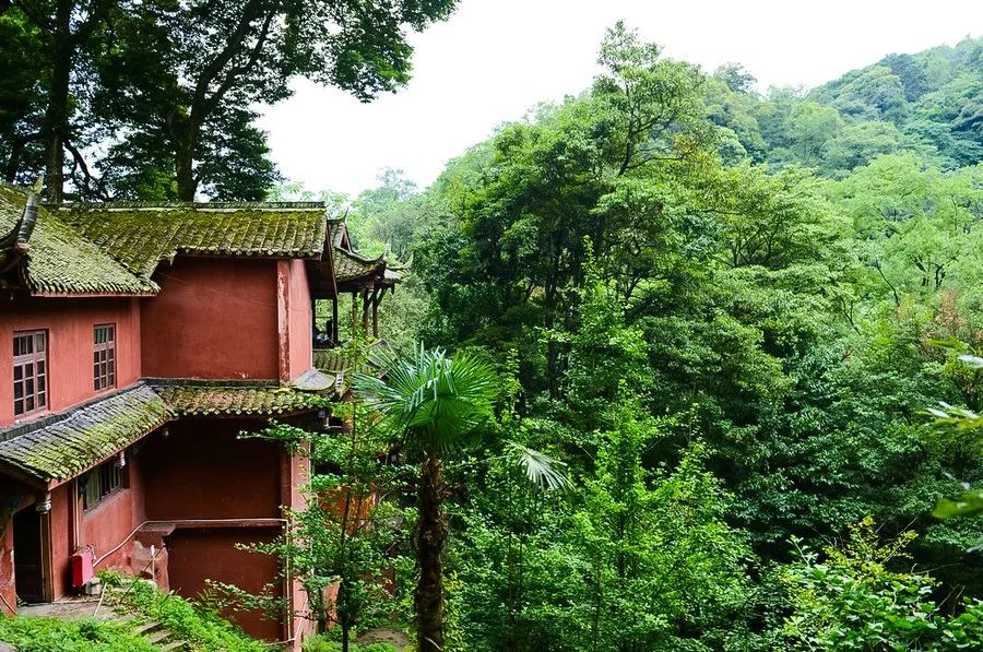 青城山——道教名山,幽静自然