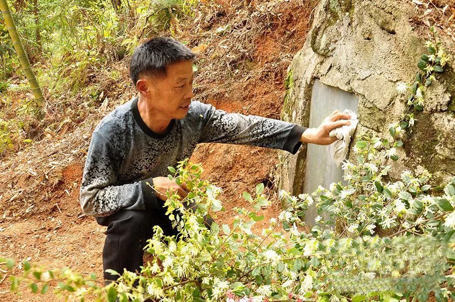 凌家三代人的清明情结:为红军烈士扫墓守墓