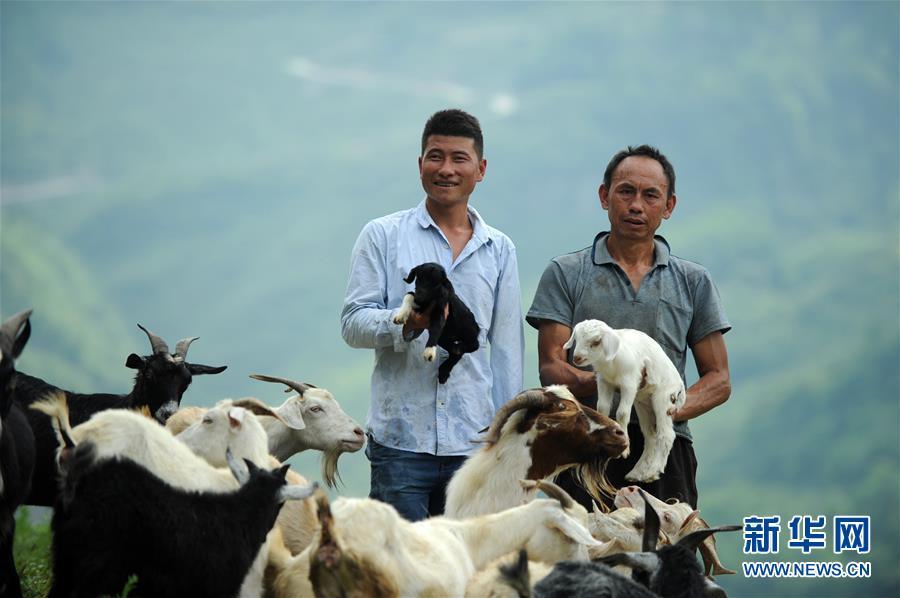 "独臂羊倌"自强创业