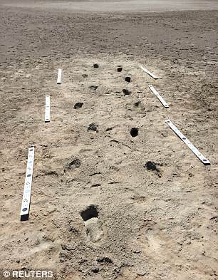 科学家发现树懒足迹化石,揭示古人类与巨型树懒搏斗现场