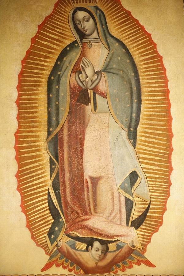 瓜达卢佩圣母斗篷图片