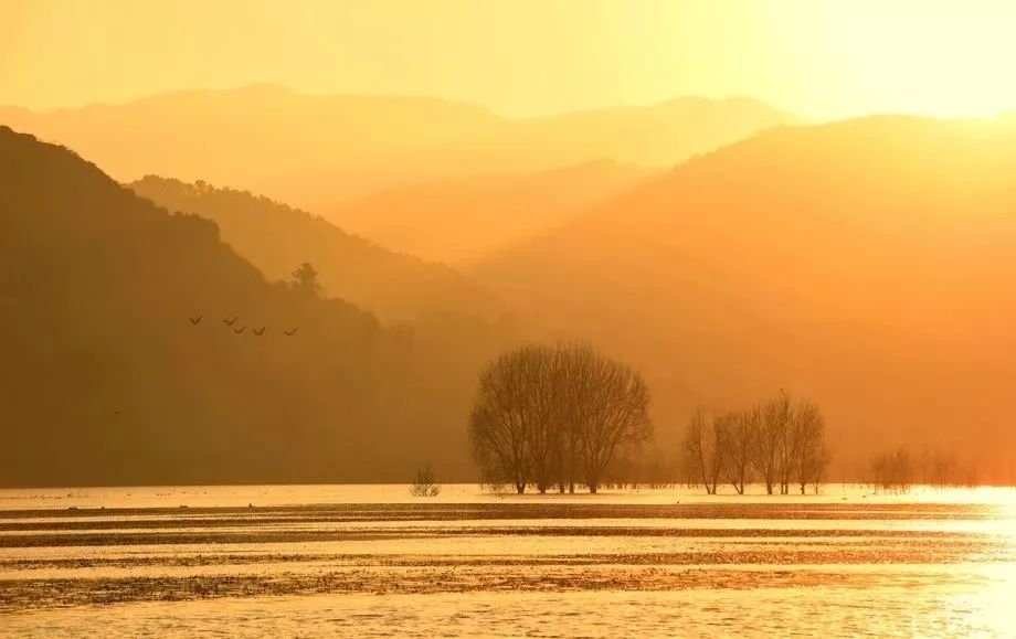 摄影天堂,飞鸟成群,如果你想念一个人,就去曲靖这个地方看看