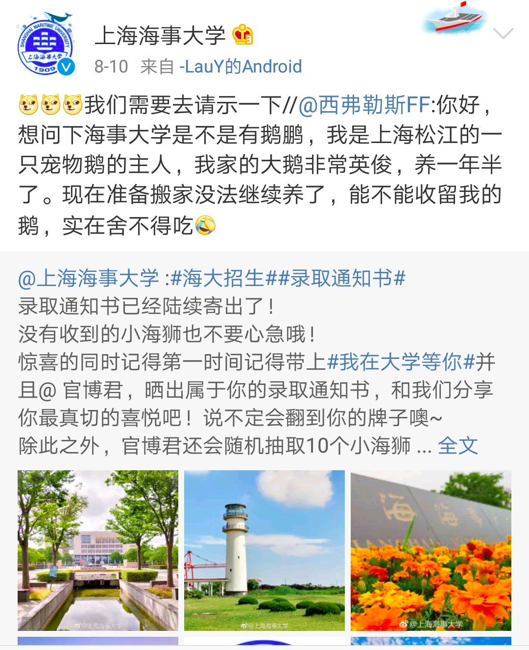 一只非常英俊的大白鹅拿到大学录取通知书!各
