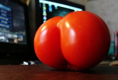 全球最妖娆的水果,西瓜,草莓长出性感"屁股"!最后一个10年才成熟!