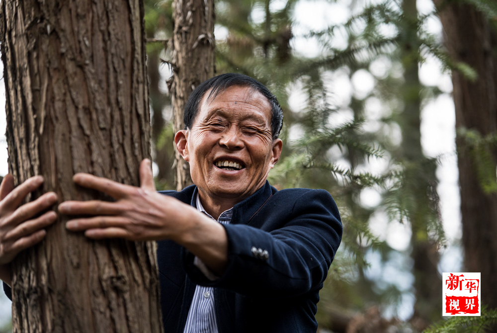 安镇|李绍友|郝景香_新浪新闻