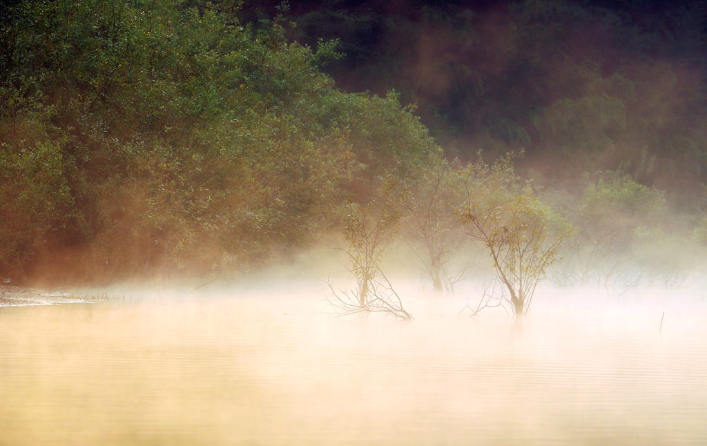 今日寒露天寒露重雾笼纱水汽氤氲水墨画