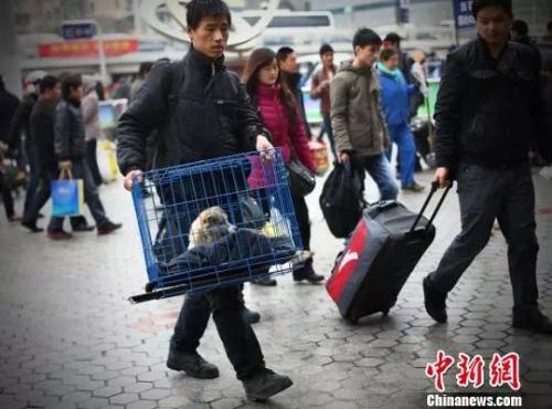 资料图：带着狗狗去乘车，吸引旅客的眼球。　泱波 摄