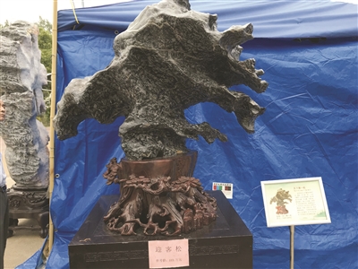 "迎客松"灵璧石.