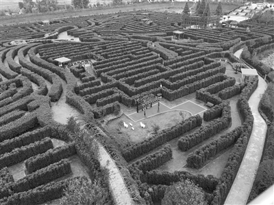 首届"梦幻迷宫"杯乒乓球邀请赛开幕式日前在盐城大丰梦幻迷宫隆重举行