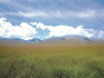 上世纪50年代至80年代,这里因过度放牧导致草场退化