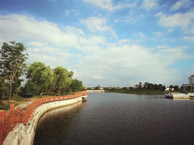 在泰兴版图上,闪耀着一个"特而强,小而美"的特色小镇——泰兴凤栖小镇