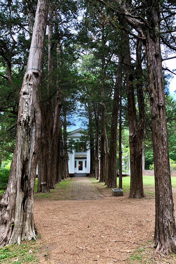 另一个牛津探访福克纳的故乡