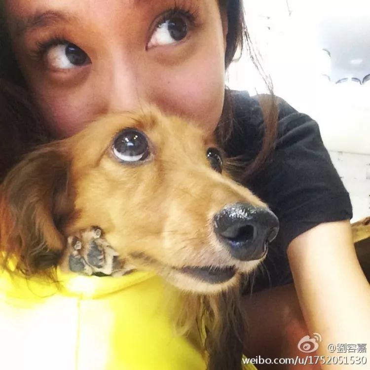 好久不见还记得恶作剧之吻里的留农吗她现在长这样了