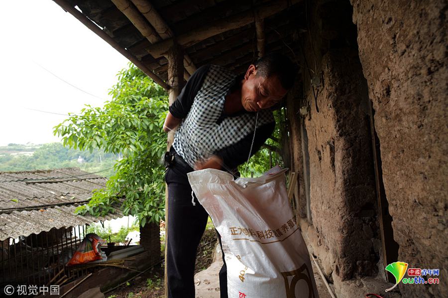 为了照顾好家人,勤劳的何世华每天十分忙碌,手臂上也留下了伤痕.