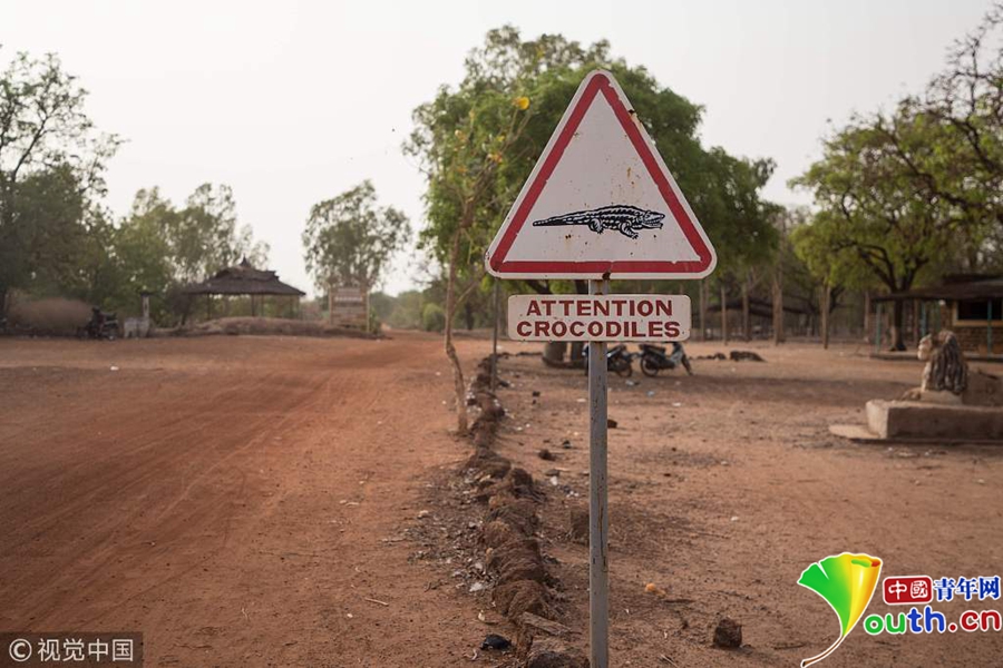 警告有鳄鱼的标识牌.