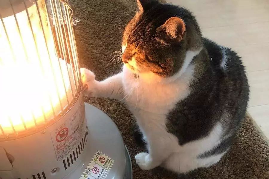 穿上像刚泡完脚般暖和