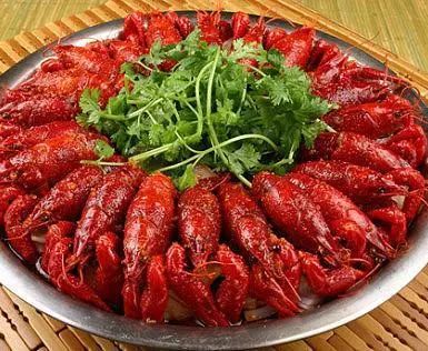 天雷滚滚的剧情,编剧你tm是在侮辱我们的智商么?