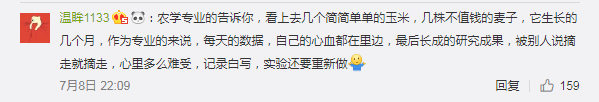 学生科研玉米被偷损失上千万 有人可能毕不了业