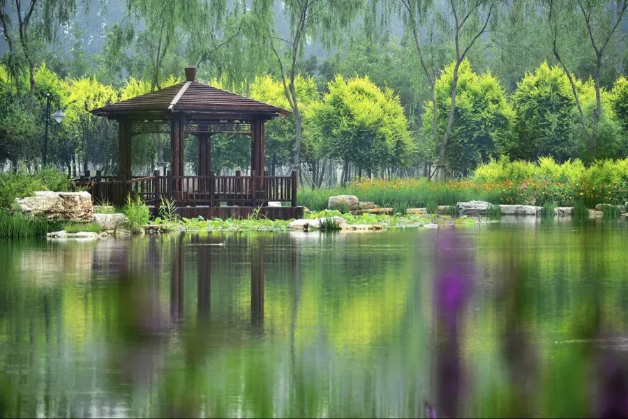 天津这座最有意境的"森林公园",如今被人遗忘却依然美不胜收!