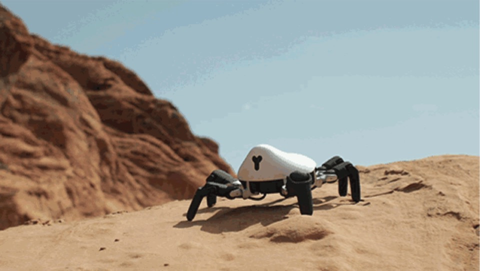 hexa机器人亮相ces asia 2018,再次荣获创新奖