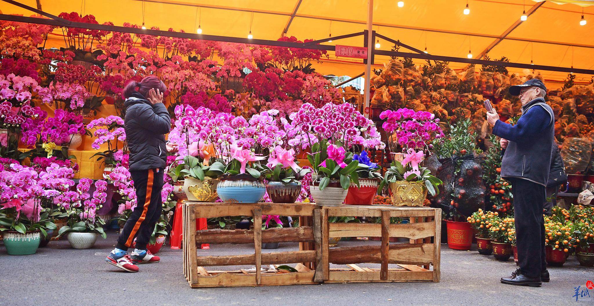 海珠花市便又靓,来逛逛吧!