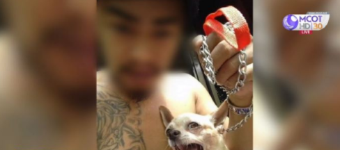 男子虐狗杀狗还拍持枪照阿拉善英雄会1v7?母亲