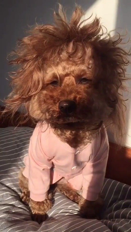 你刚睡醒的样子