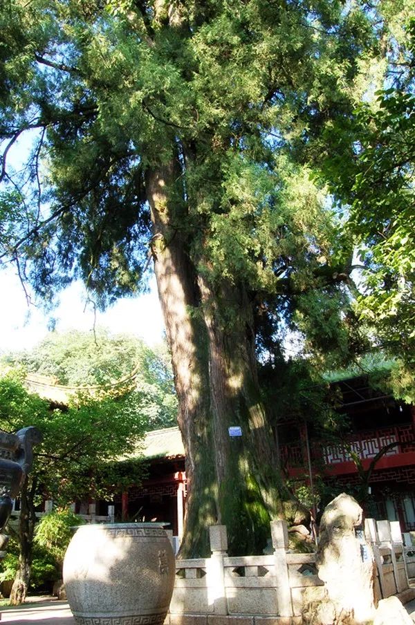 比翠湖人少,比大观楼幽静!昆明这个公园美不胜收!