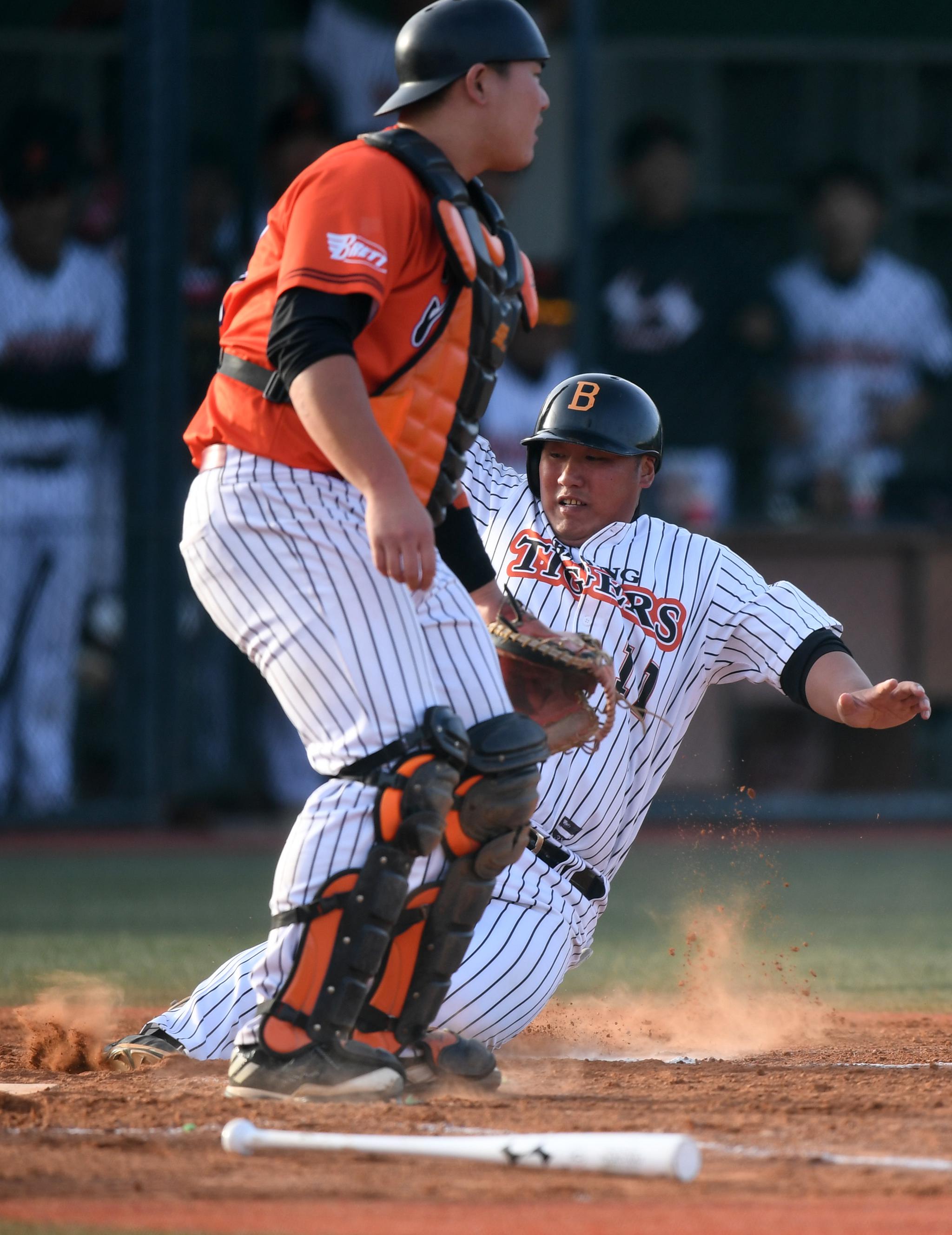 棒球中职棒总决赛北京猛虎夺冠