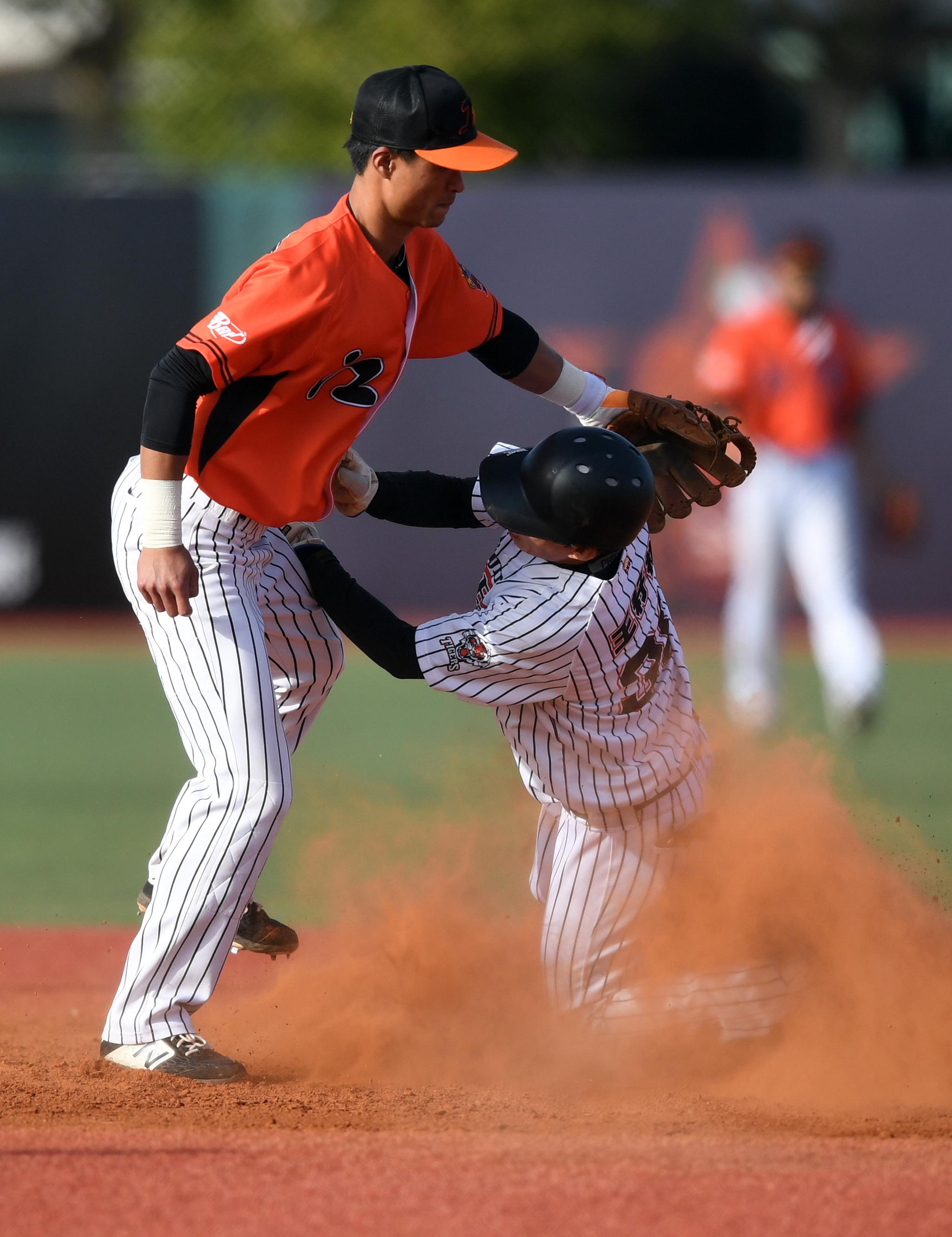 棒球中职棒总决赛北京猛虎夺冠