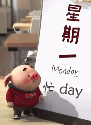 在抖音上线50天涨粉200万这应该是猪年最得意的一只猪了吧