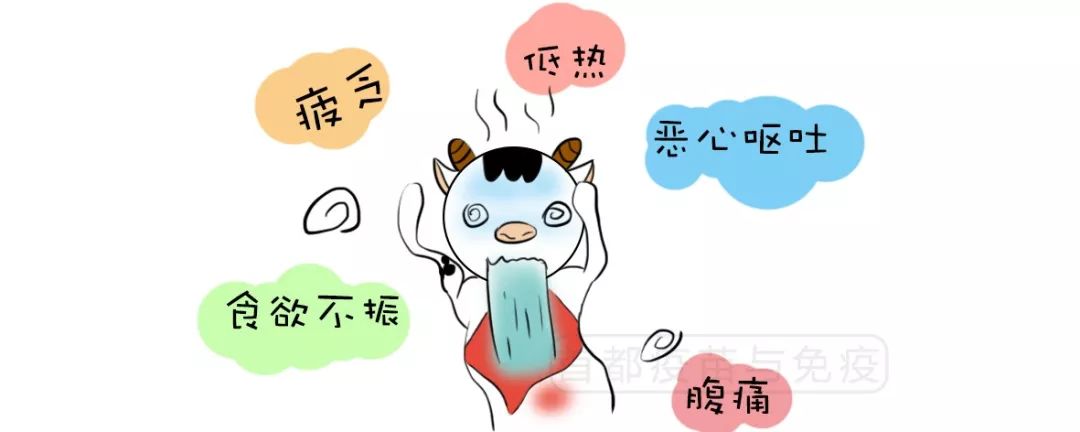 市疾控中心提示:食用未煮熟海鲜易患甲肝!