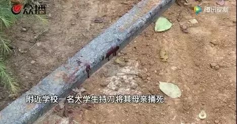 24岁大学生捅杀母亲!这件事影响孩子一生,很多家长都忽略了